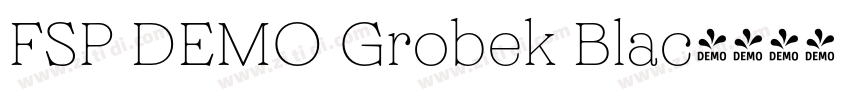 FSP DEMO Grobek Blac字体转换